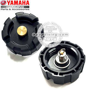 Busi champion asli original untuk mesin tempel johnson evinrude